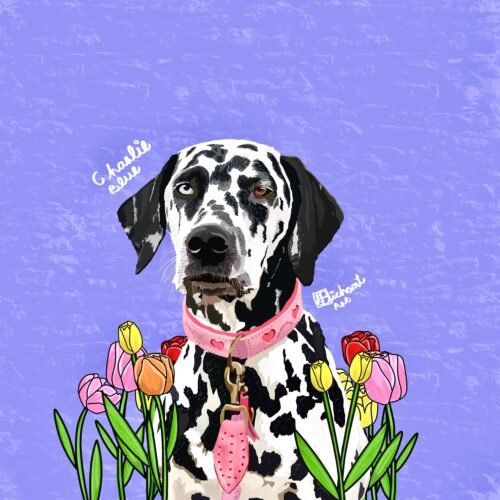 Charlie.blue Bichant con flores (cara y pecho)