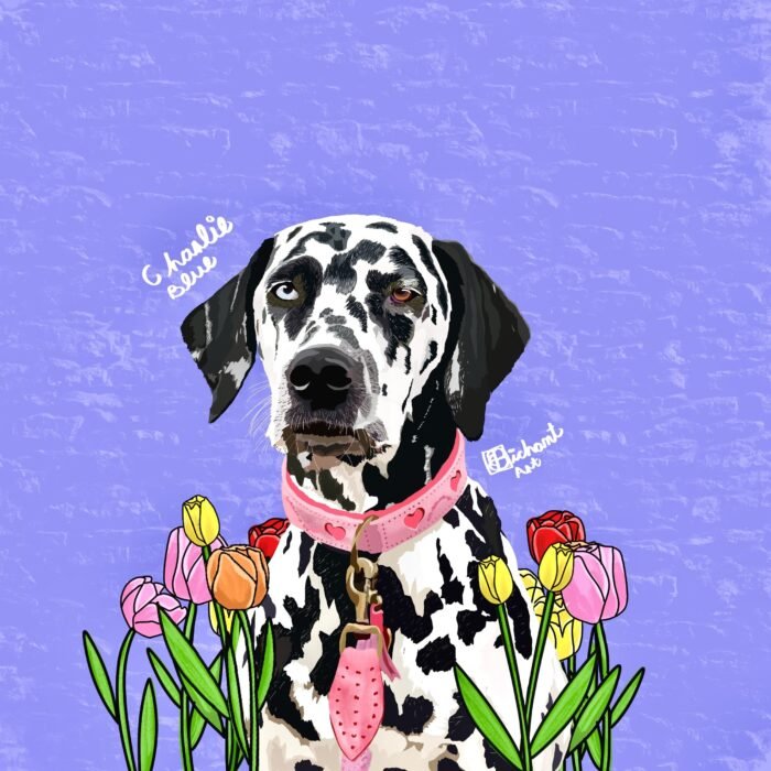 Charlie.blue Bichant con flores (cara y pecho)