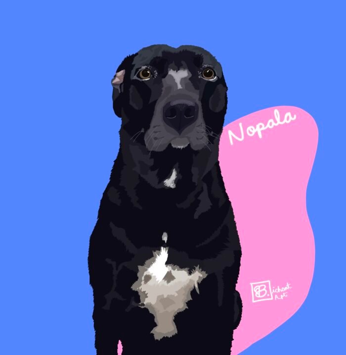 Paquete Mantis (cara y pecho)