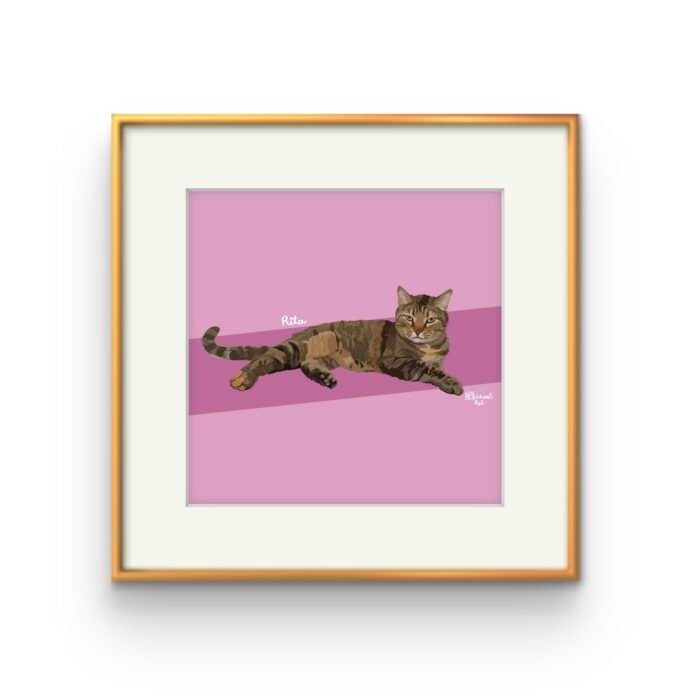 Paquete Bicha (cuerpo completo)