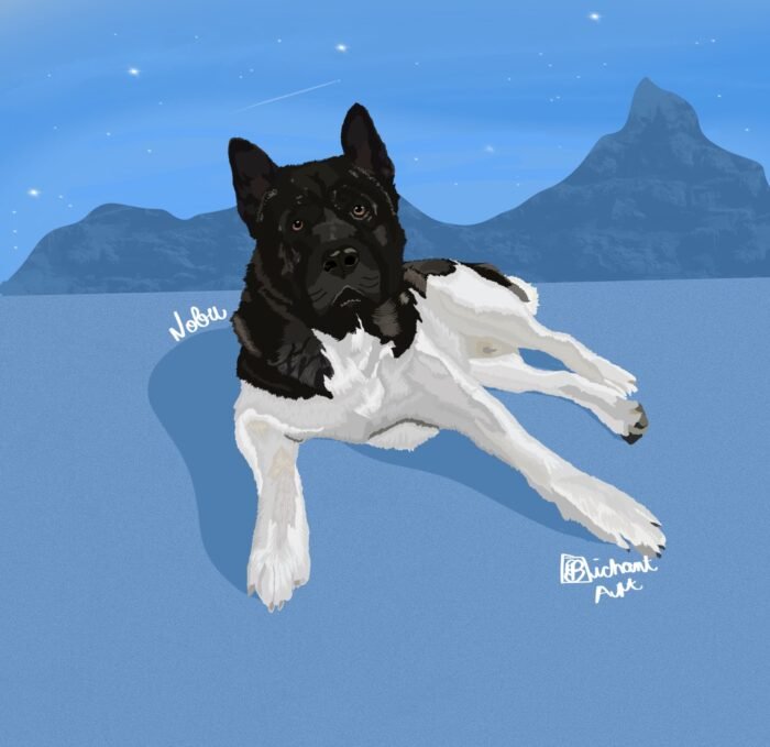 IMG_5068 (1) Bichant Creativo