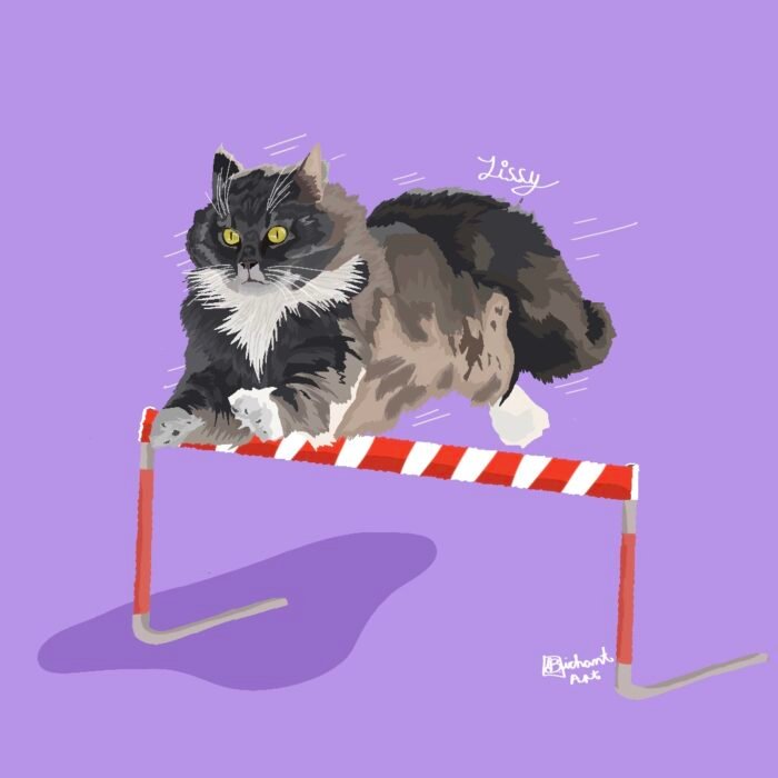 IMG_5909 Bichant Creativo